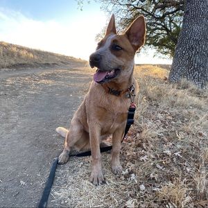 Meet your Posher, Trinity